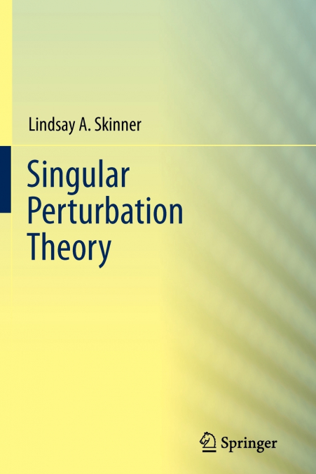 Singular Perturbation Theory