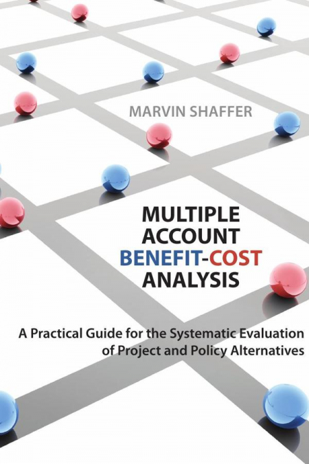 Multiple account benefit-cost analysis