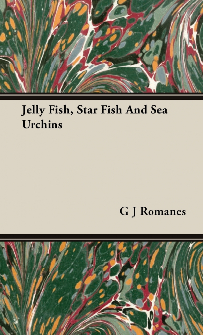 Jelly Fish, Star Fish And Sea Urchins