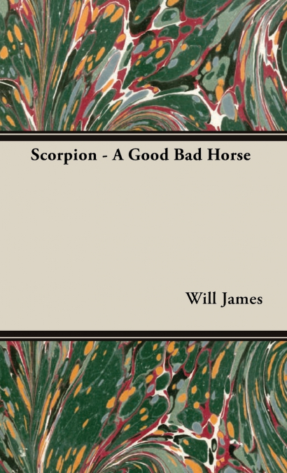 Scorpion - A Good Bad Horse