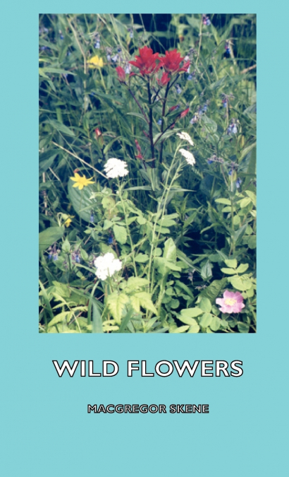 Wild Flowers