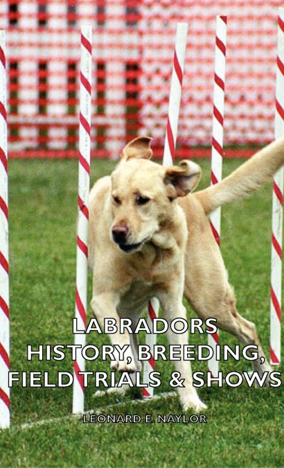 Labradors - History, Breeding, Field Trials & Shows