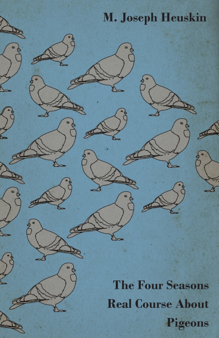 The Four Seasons Real Course About Pigeons