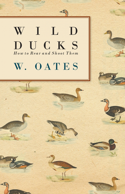Wild Ducks - How to Rear and Shoot Them