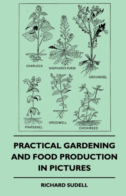 Practical Gardening And Food Production In Pictures