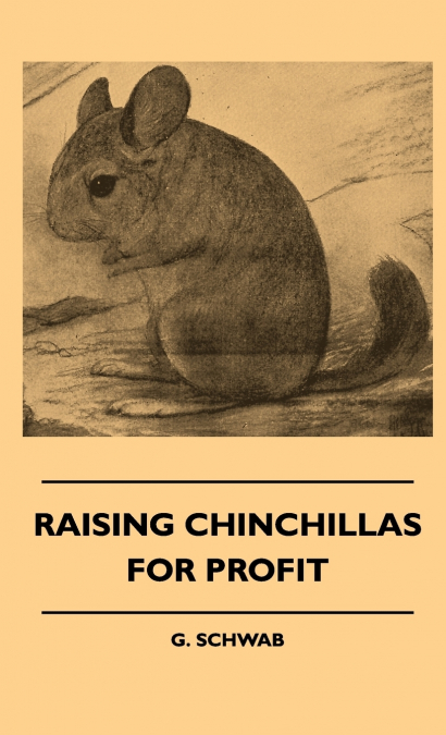 Raising Chinchillas For Profit