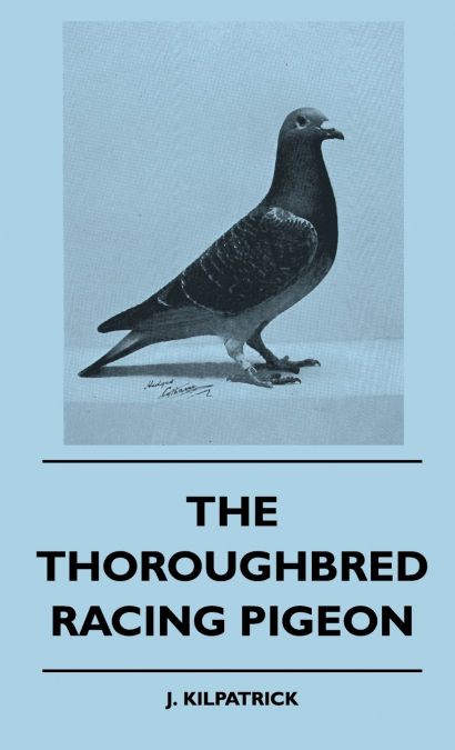 The Thoroughbred Racing Pigeon