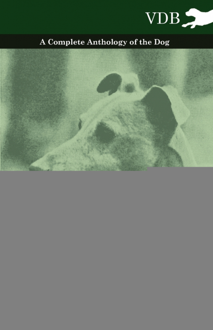 The Whippet - A Complete Anthology of the Dog