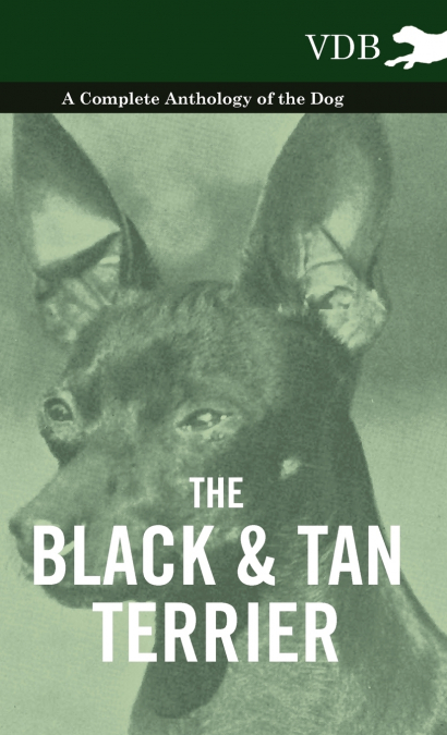 The Black and Tan Terrier - A Complete Anthology of the Dog -