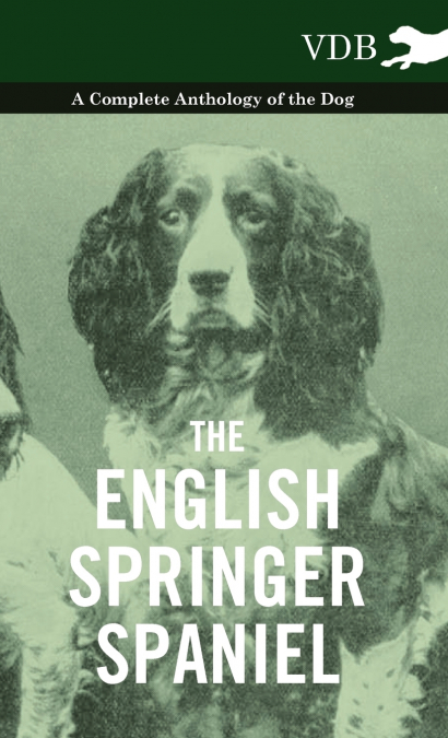The English Springer Spaniel - A Complete Anthology of the Dog