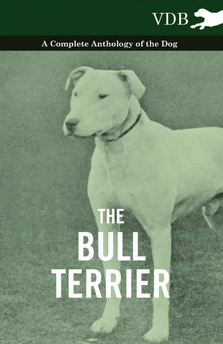 The Bull Terrier - A Complete Anthology of the Dog -