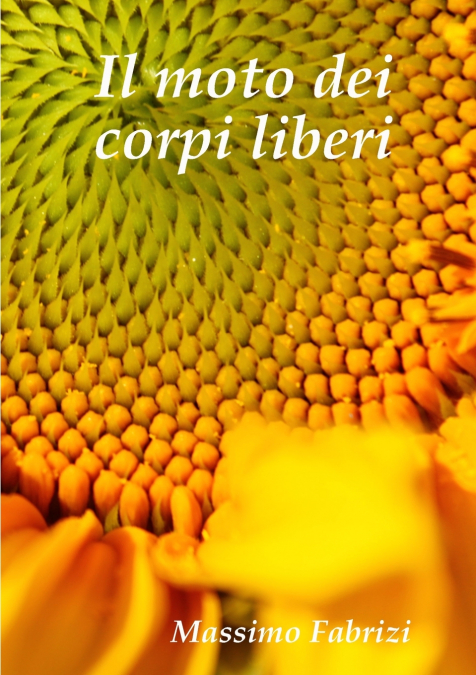 Il moto dei corpi liberi