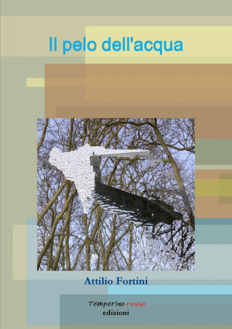 Il pelo dell’acqua