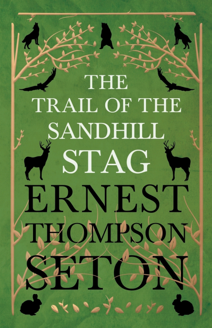 The Trail Of The Sandhill Stag