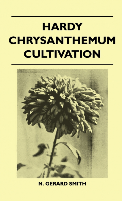 Hardy Chrysanthemum Cultivation