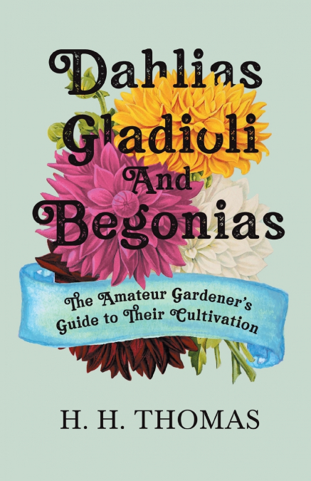Dahlias, Gladioli and Begonias