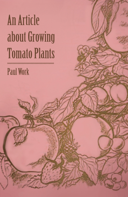 An Article about Growing Tomato Plants