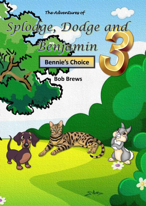 Splodge, Dodge and Benjamin - Bennie’s Choice