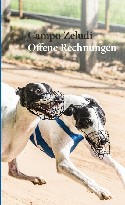 Offene Rechnungen