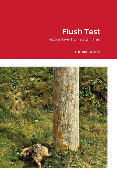 Flush Test