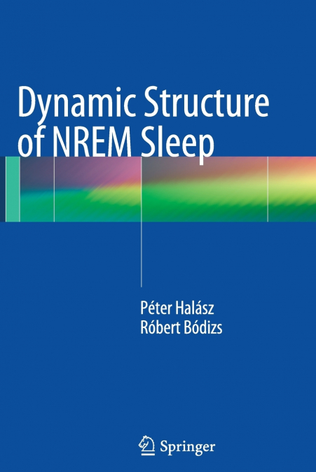 Dynamic Structure of NREM Sleep