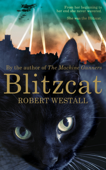 Blitzcat