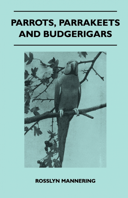 Parrots, Parrakeets and Budgerigars