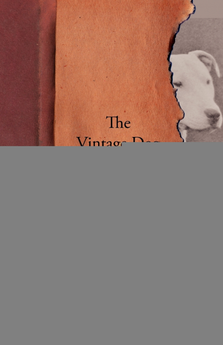 The Vintage Dog Scrapbook - The Bull Terrier