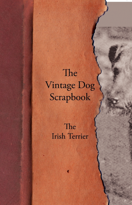 The Vintage Dog Scrapbook - The Irish Terrier