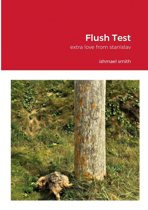 Flush Test