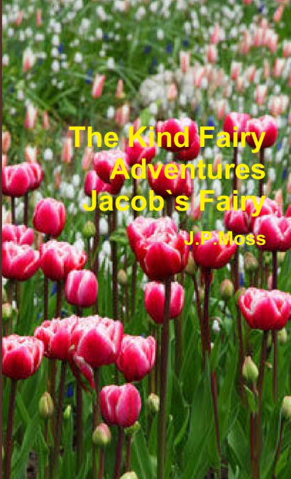 The Kind Fairy Adventures. Jacobs Fairy