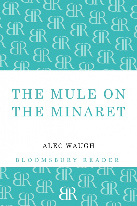 The Mule on the Minaret