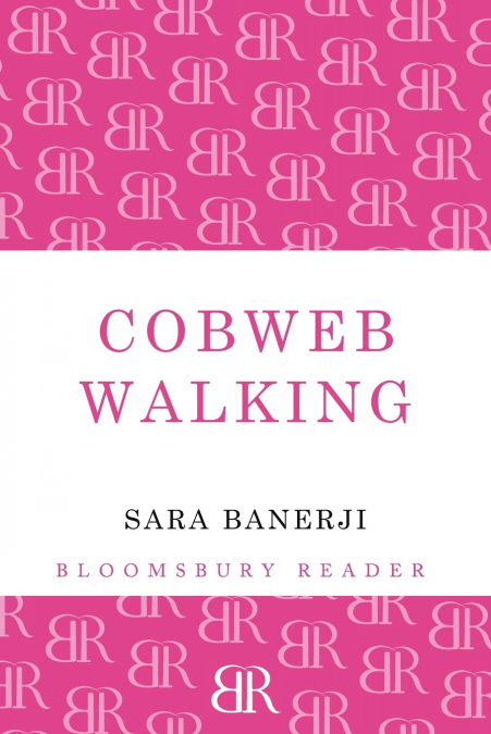 Cobweb Walking