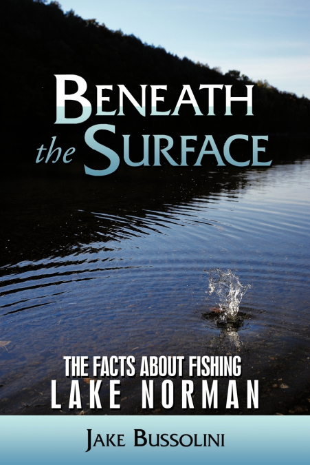 Beneath the Surface