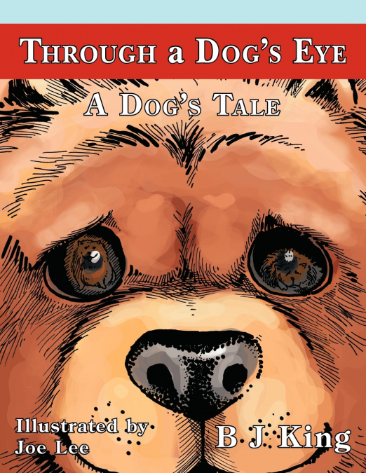 Through a Dog’s Eye