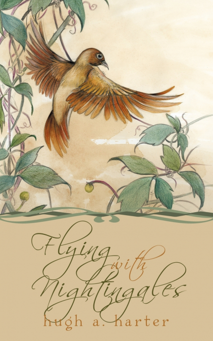 Flying with Nightingales
