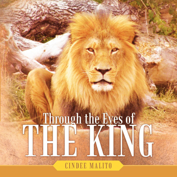 Through the Eyes of The King