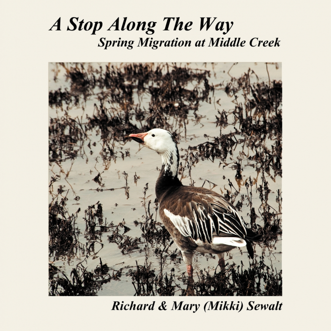 A Stop Along The Way