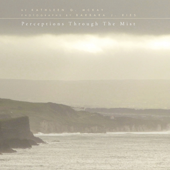 Perceptions through the Mist