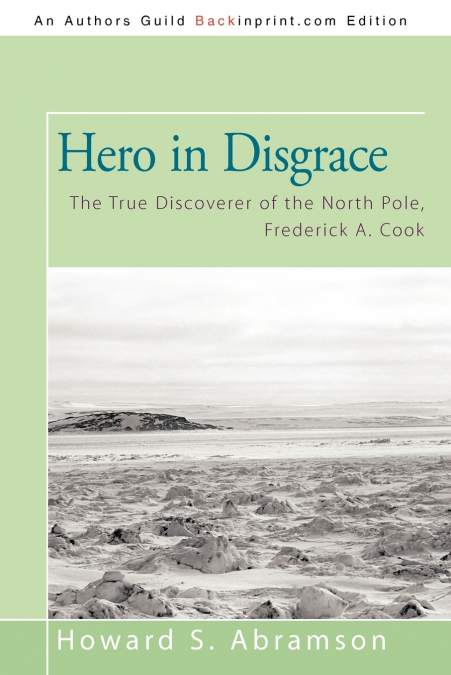 Hero in Disgrace