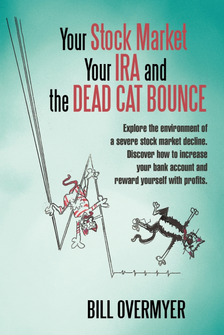 Your Stock Market Your IRA and THE DEAD CAT BOUNCE