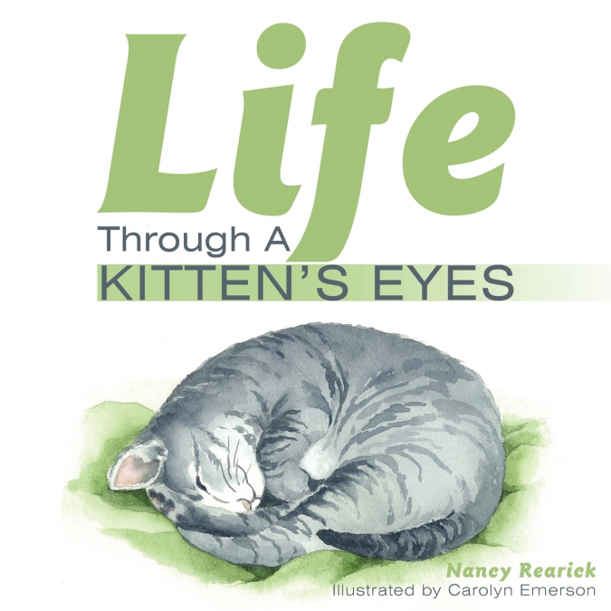 Life Through a Kitten’s Eyes