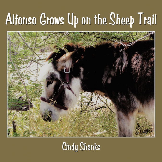 Alfonso Grows Up on the Sheep Trail