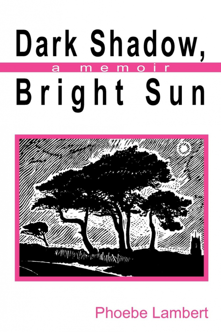 Dark Shadow, Bright Sun