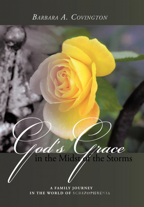 God’s Grace in the Midst of the Storms