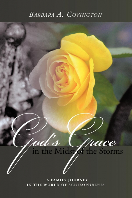 God’s Grace in the Midst of the Storms