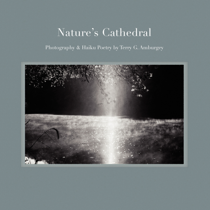 Nature’s Cathedral