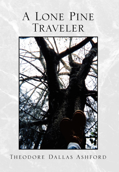 A Lone Pine Traveler