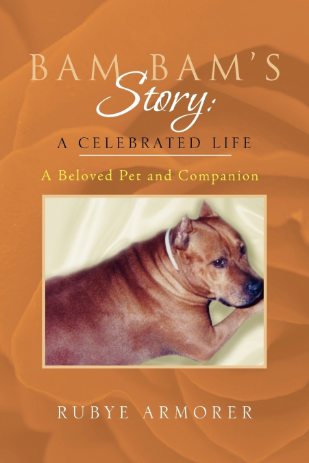 Bam Bam’s Story