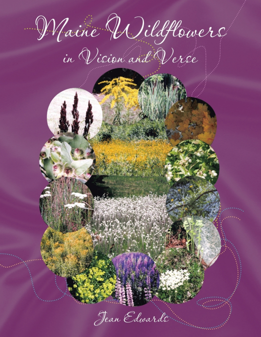 Maine Wildflowers in Vision and Verse